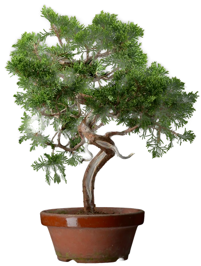 0135 ш15 в37 ц45000руб.