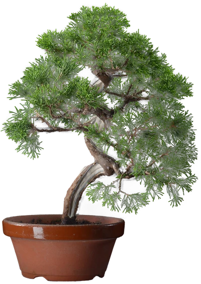 0146 ш15 в35 ц45000руб.