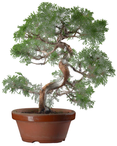 0157 ш15 в35 ц50000руб.