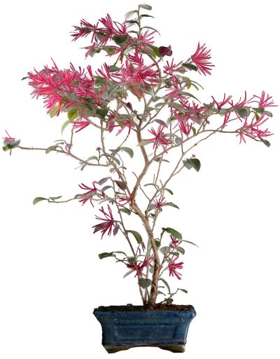 0760 ш16 в 54 ц 4600руб..