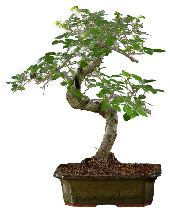 0975 ш20 в35 ц8000руб.