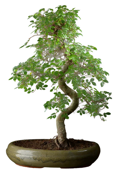 0993 ш29 в49 ц18200руб.