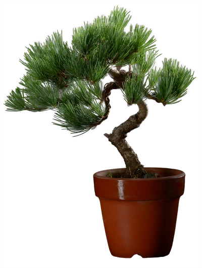 1021 ш10 в30 ц35600руб.