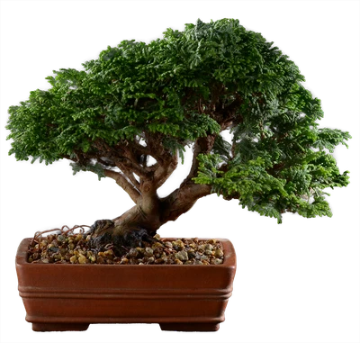 1024 ш12 в17 ц120.000руб