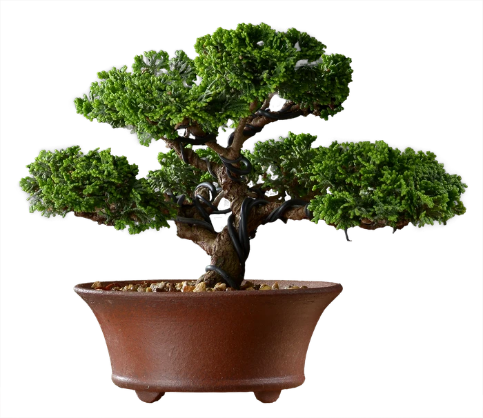 1029 ш12 в17 ц 60000руб.