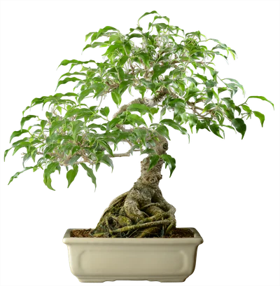 1044 ш25 в50 ц 150.000руб