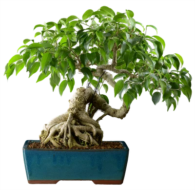 1050 ш25 в42 ц 150.000руб