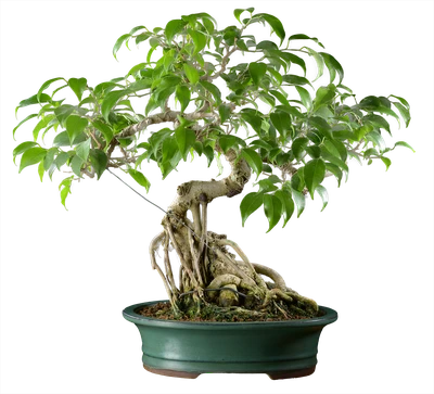 1064 ш28 в44 150.000руб