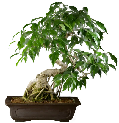 1075 ш34 в53 ц150.000руб