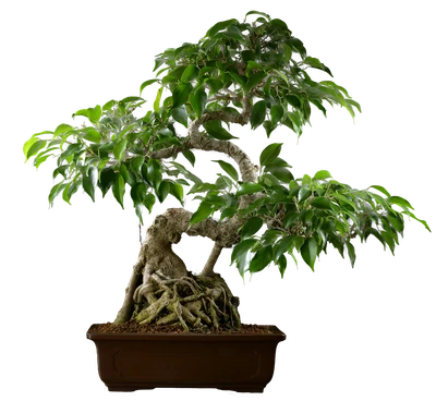 1077 ш28 в54 ц150.000руб