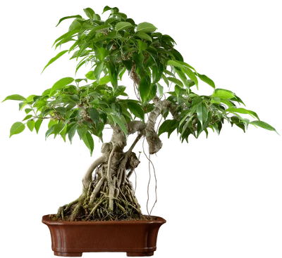 1079 ш26 в56 ц150000руб.