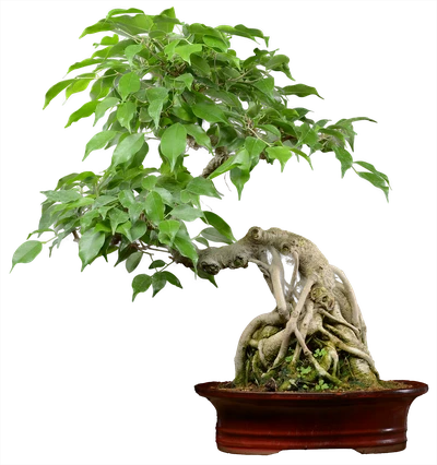 1089 ш27 в52 ц150000руб.