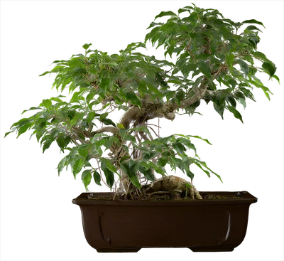 1101 ш40 в56 ц100000руб.