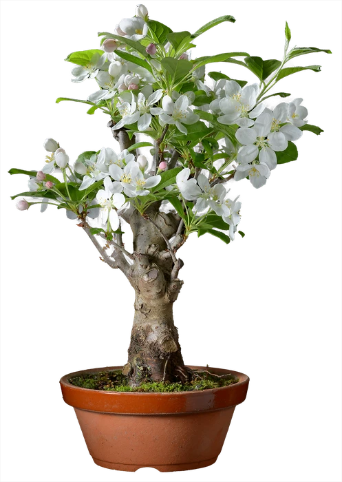 1131 в43 ш18 ц30000руб