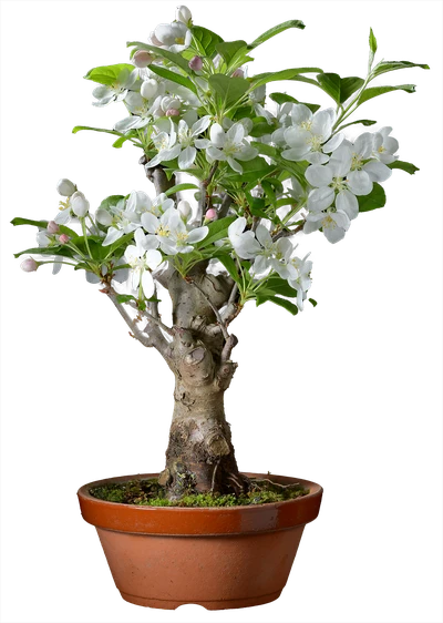 1131 в43 ш18 ц30000руб