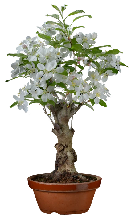 1139 в48 ш18 ц30000