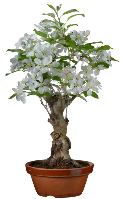 1139 в48 ш18 ц30000