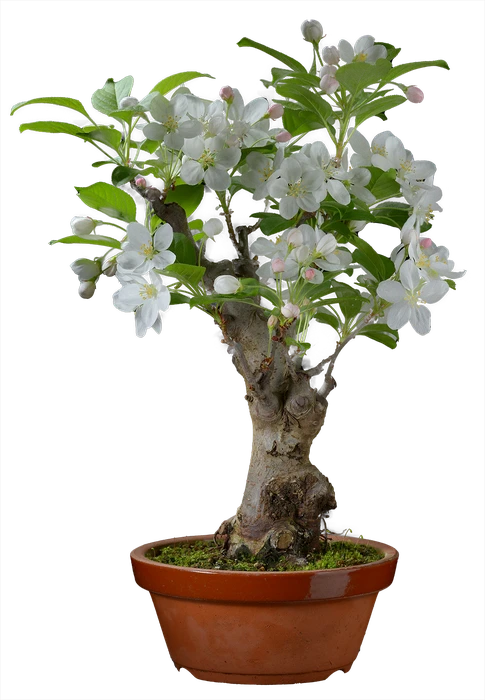 1141 в44 ш18 30000