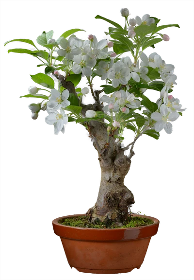 1141 в44 ш18 30000