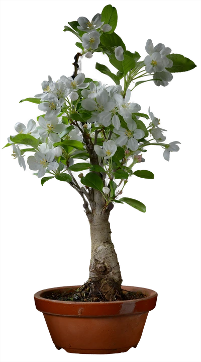 1143 в47 ш18 30000руб