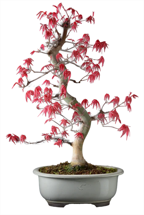 1164 в40 ш18 65000.