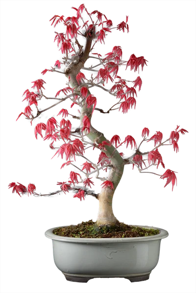 1164 в40 ш18 65000.