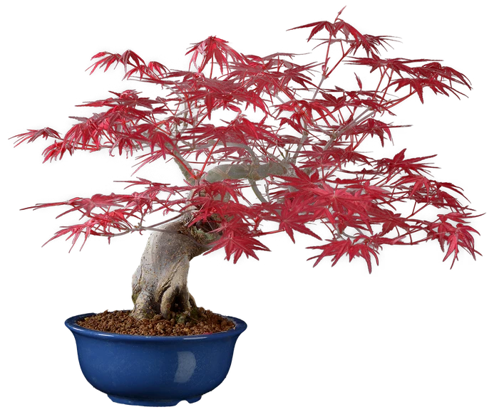 1169 в35 ш15 ц80000.