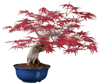 1169 в35 ш15 ц80000.