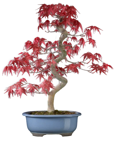 1174 в74 ш 18 ц65000