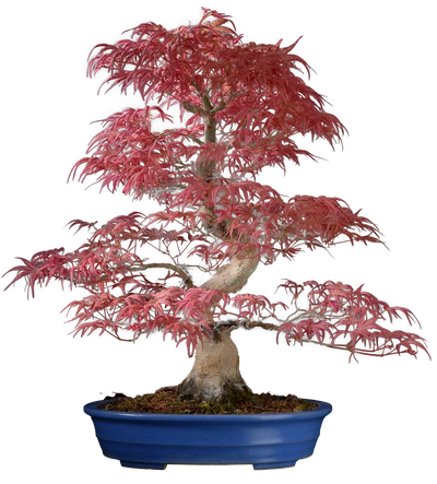 1176 в49 ш26 ц200000.