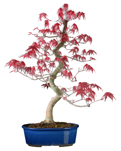 1186 в50 ш18 ц65000.