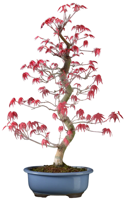 1187 в55 ш18 ц65000