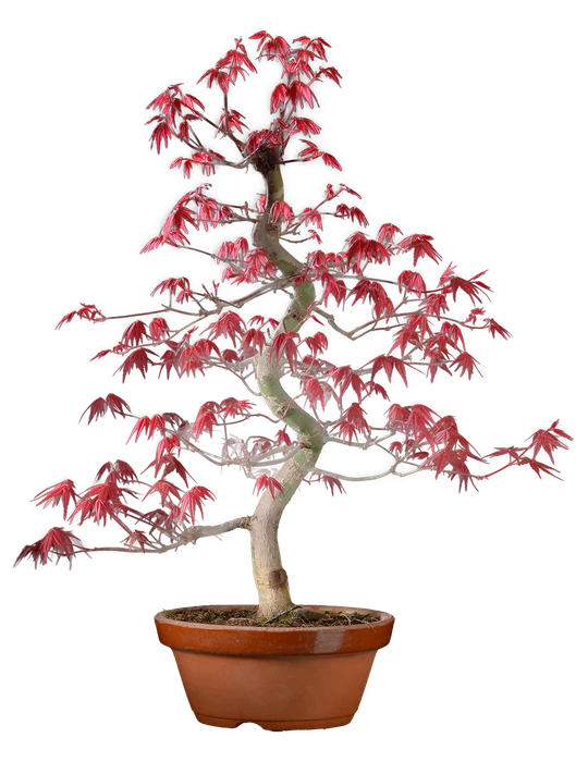 1191 в52 ш18 ц65000.