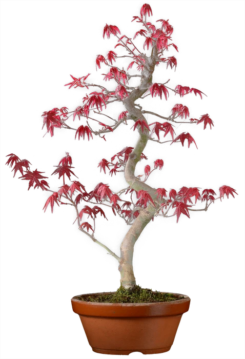 1192 в55 ш18 ц65000