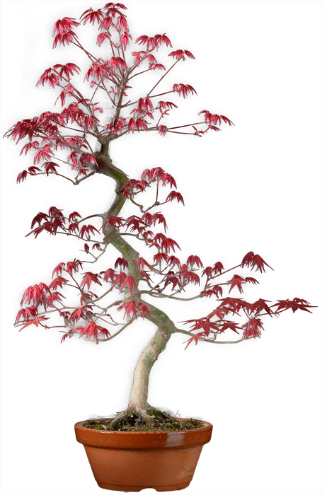 1193 в60 ш18 ц65000