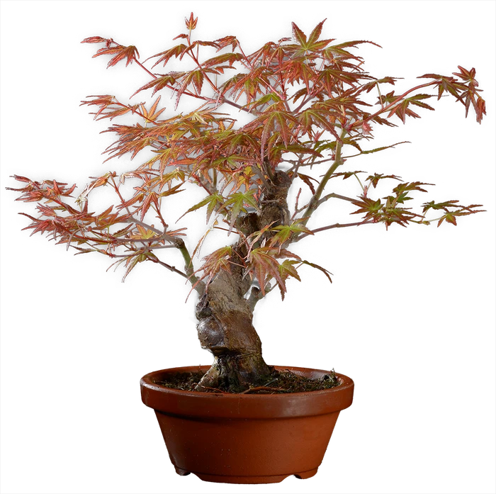 1200 в30 ш13 ц30000