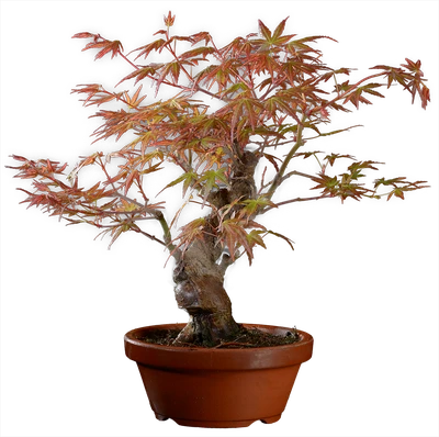 1200 в30 ш13 ц30000