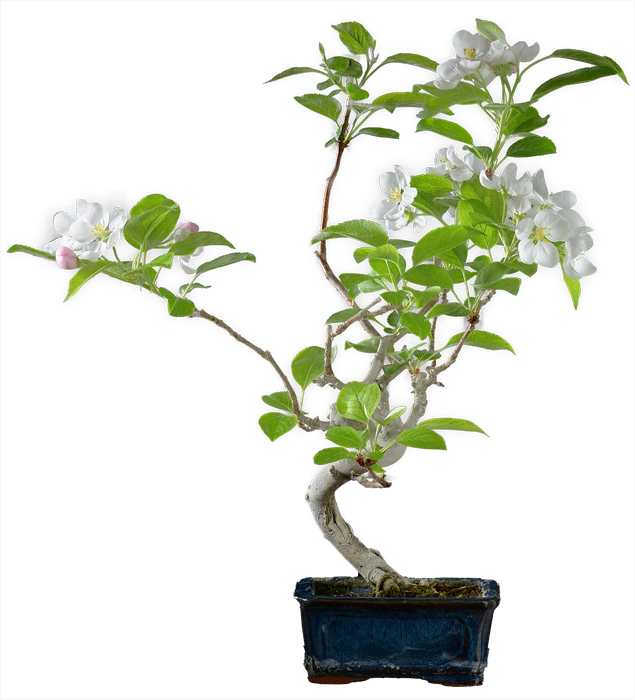 1203 в43 ш12 ц30000