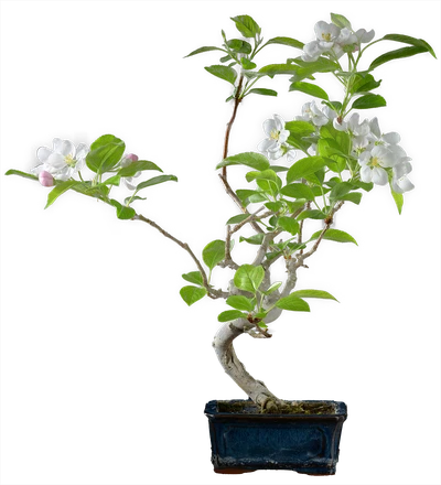 1203 в43 ш12 ц30000