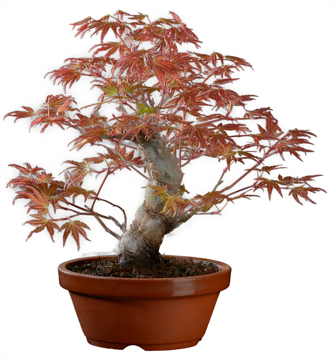 1205 в27 ш 12 ц30000