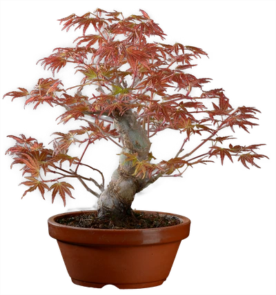 1205 в27 ш 12 ц30000