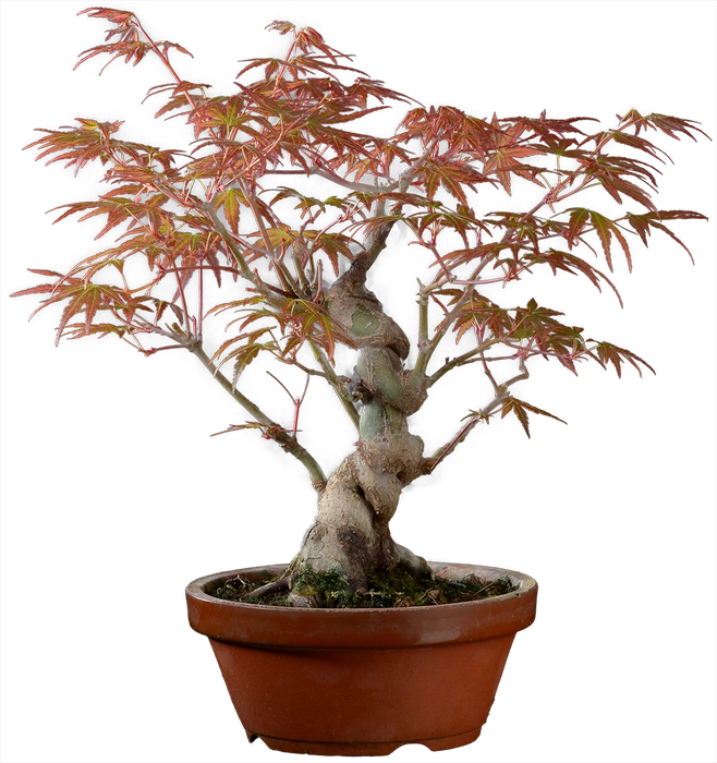 1206 в27 ш12 ц30000