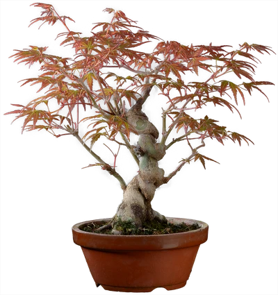 1206 в27 ш12 ц30000