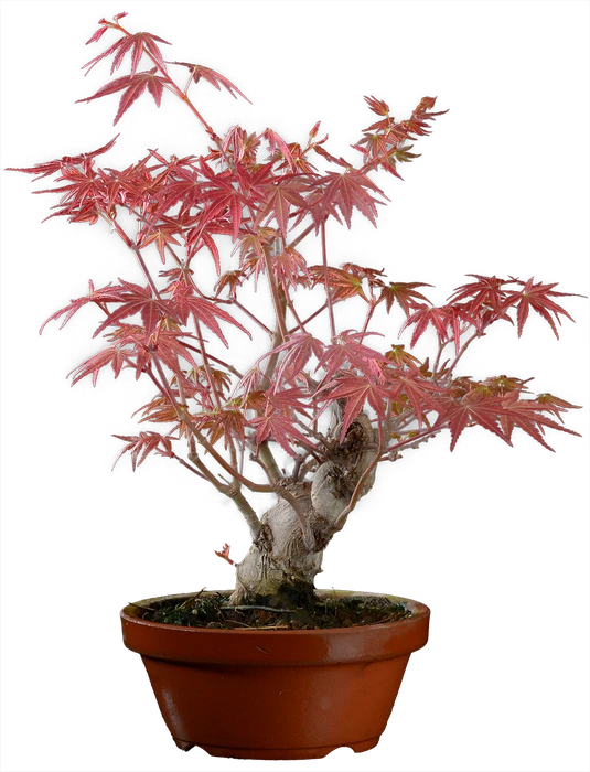 1210 в30 ш12 ц30000