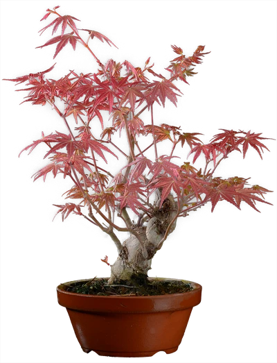 1210 в30 ш12 ц30000