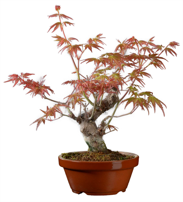 1211 в30 ш12 ц30000