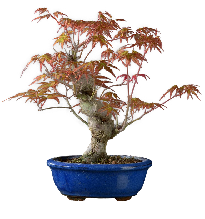 1215 в26 ш13 ц30000