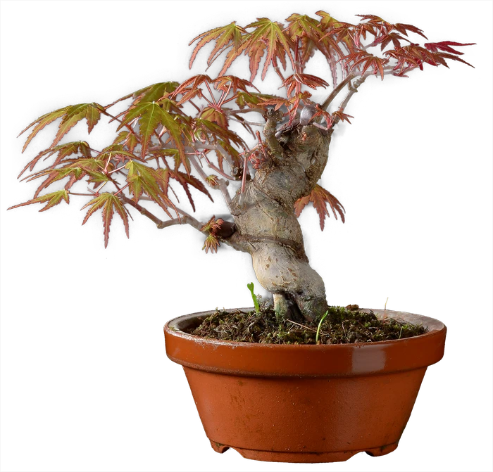 1216 в22 ш13 ц30000