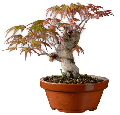 1216 в22 ш13 ц30000