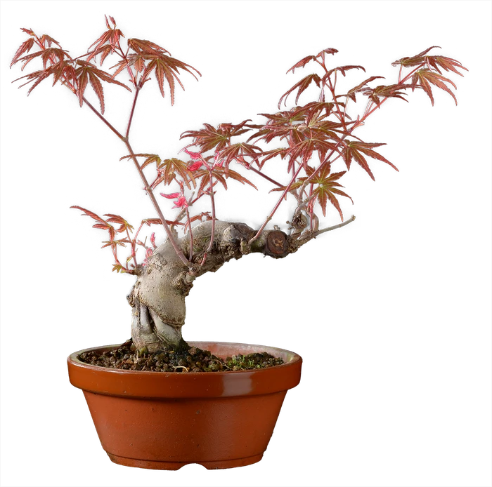 1217 в28 ш13 ц30000